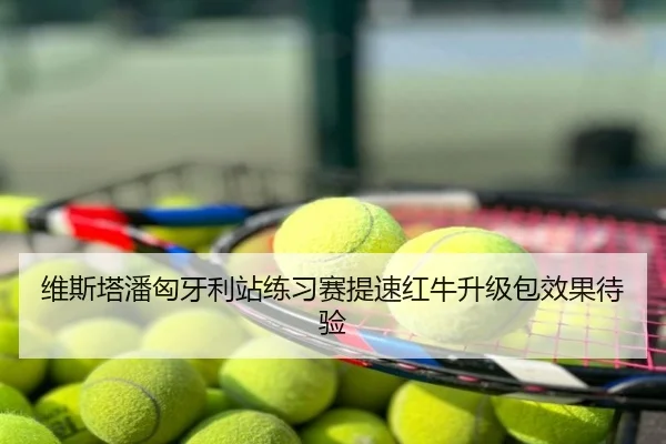维斯塔潘匈牙利站练习赛提速红牛升级包效果待验