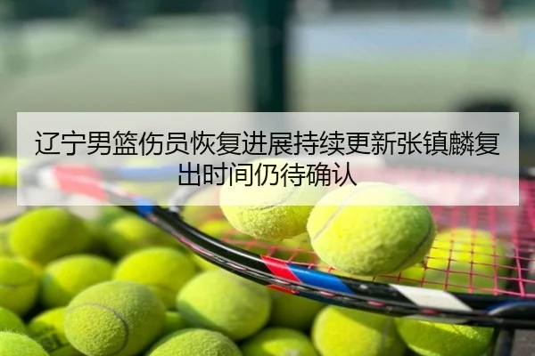 辽宁男篮伤员恢复进展持续更新张镇麟复出时间仍待确认